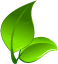 Going-Green-Slider-Leaf